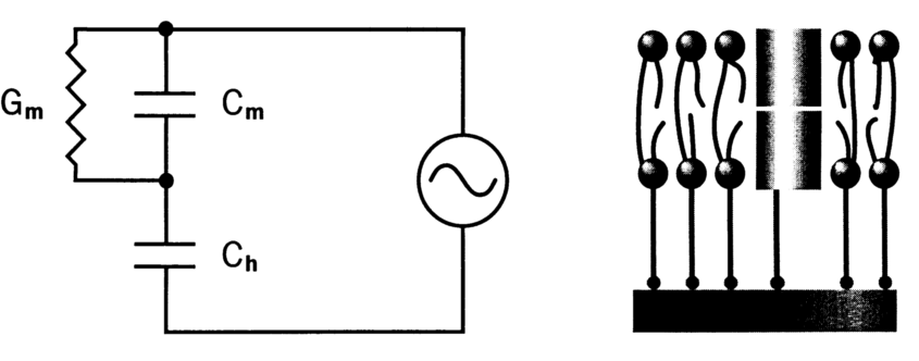 图片1(1).png